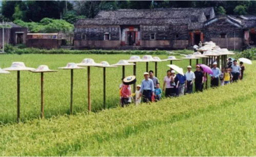 農(nóng)業(yè)為國(guó)之根本 洞悉未來(lái)農(nóng)業(yè)發(fā)展的五大“小趨勢(shì)”
