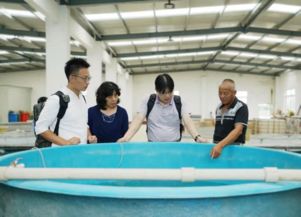 上海市青浦區(qū)農(nóng)業(yè)農(nóng)村委員會(huì)技術(shù)開發(fā)現(xiàn)狀與展望